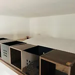 Pod 55 * Kraków